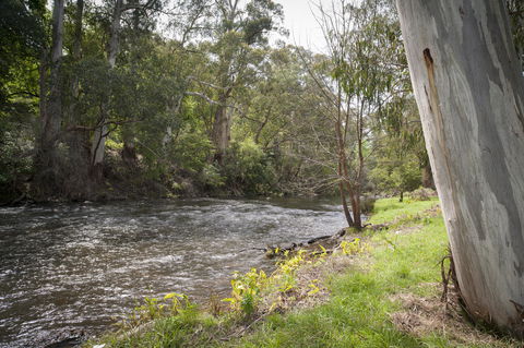 Oscar\'s On The Yarra - Hervey Bay Accommodation 23