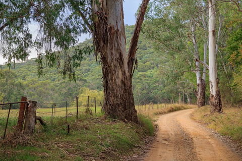 Alpine Aspects - Hervey Bay Accommodation 10