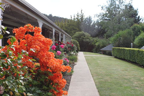 Alpine Aspects - Hervey Bay Accommodation 34