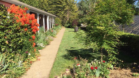 Alpine Aspects - Hervey Bay Accommodation 4