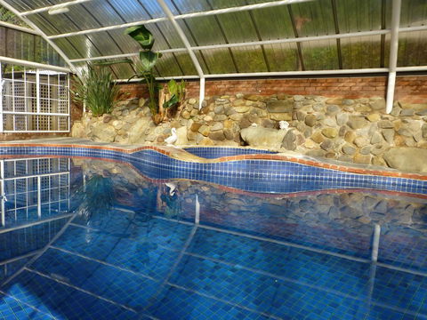 Alpine Aspects - Hervey Bay Accommodation 39