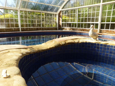 Alpine Aspects - Hervey Bay Accommodation 38