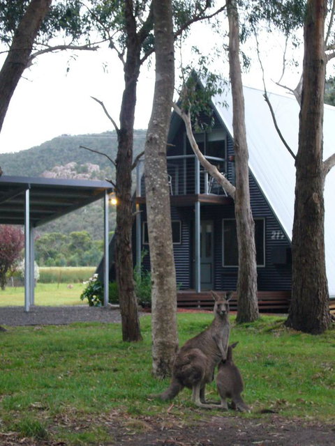 The A-Frame - Hervey Bay Accommodation 1