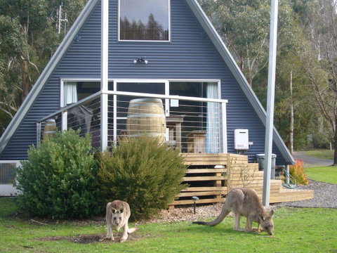 The A-Frame - Hervey Bay Accommodation 10
