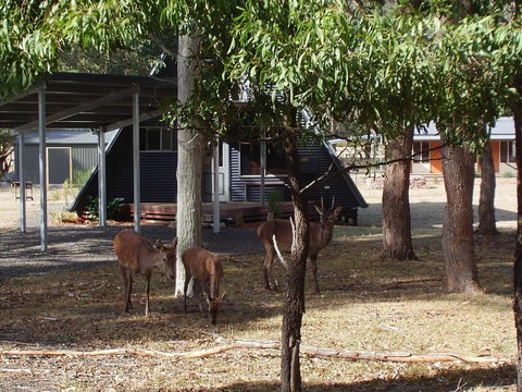 The A-Frame - Hervey Bay Accommodation 13