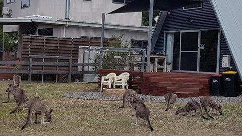 The A-Frame - Hervey Bay Accommodation 3