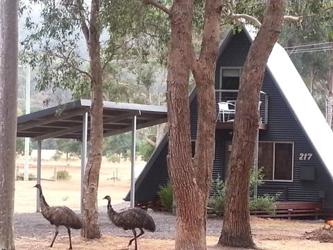 The A-Frame - Hervey Bay Accommodation 9