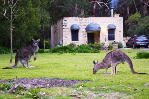 Marwood Villas - Hervey Bay Accommodation 0