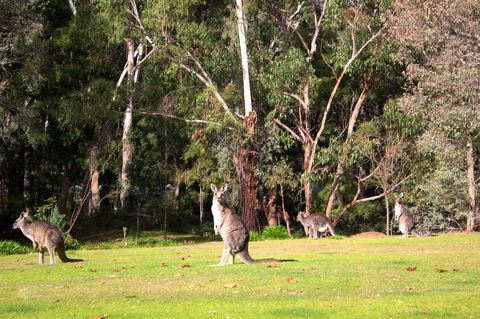 Marwood Villas - Hervey Bay Accommodation 28
