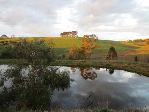 Walnut Cottage Via Leongatha - Tourism Hervey Bay 10