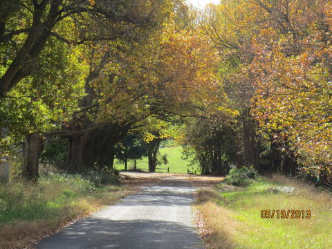 Walnut Cottage Via Leongatha - Tourism Hervey Bay 11