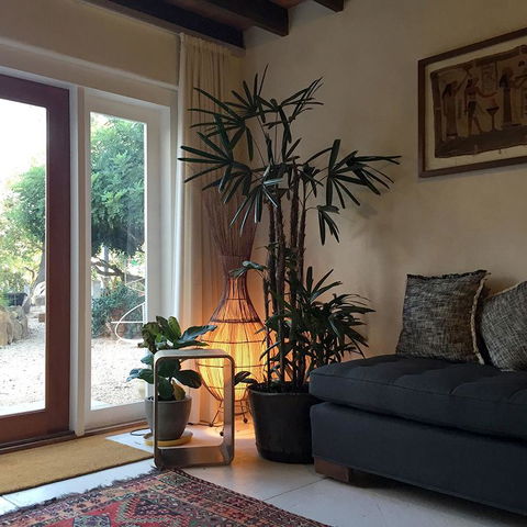 Be&be Castlemaine - Hervey Bay Accommodation 1