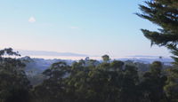 Book Monbulk Accommodation Vacations Hervey Bay Accommodation Hervey Bay Accommodation