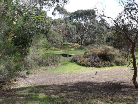 Elevated Holiday House Overlooks Tranquil Wetlands - Tourism Hervey Bay 11