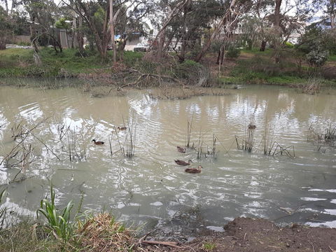 Elevated Holiday House Overlooks Tranquil Wetlands - Tourism Hervey Bay 12
