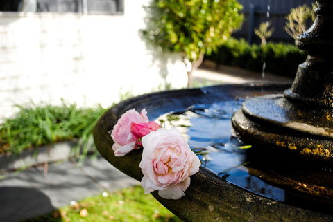 Bed Of Roses - Tourism Hervey Bay 35