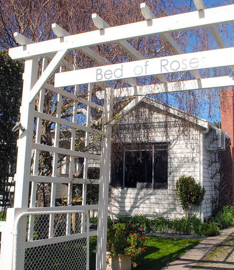 Bed Of Roses - Tourism Hervey Bay 30