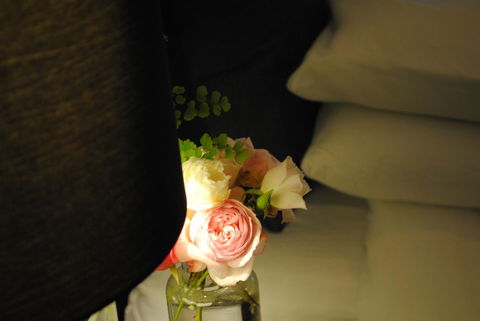 Bed Of Roses - Tourism Hervey Bay 23