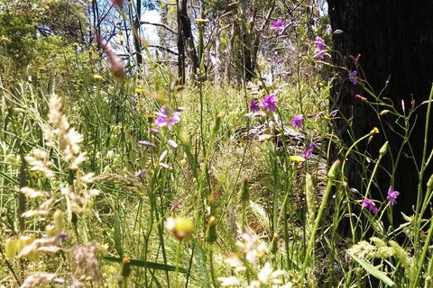 Grampians Pomonal Cottages - Hervey Bay Accommodation 31