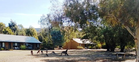 Grampians Pomonal Cottages - Hervey Bay Accommodation 6
