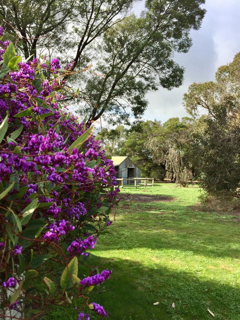 Grampians Pomonal Cottages - Hervey Bay Accommodation 21