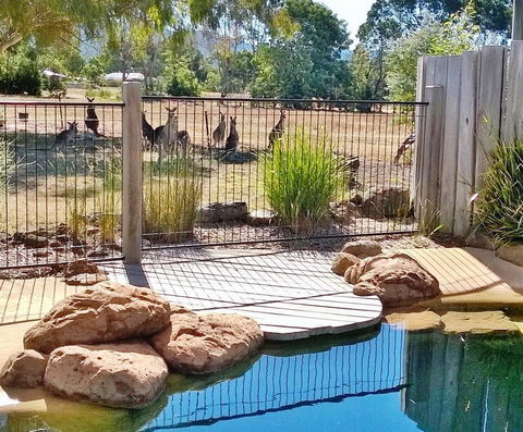 Grampians Pomonal Cottages - Hervey Bay Accommodation 24