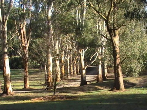 Kangaroo Manor - Hervey Bay Accommodation 21