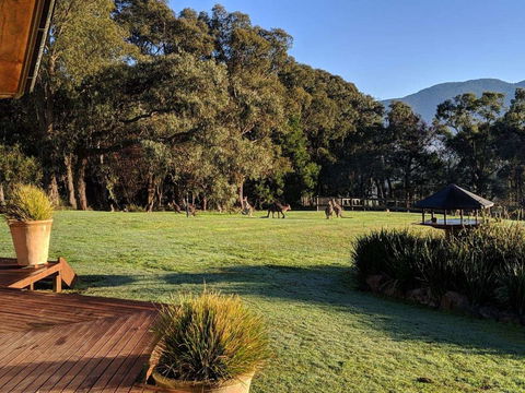 Kangaroo Manor - Hervey Bay Accommodation 5