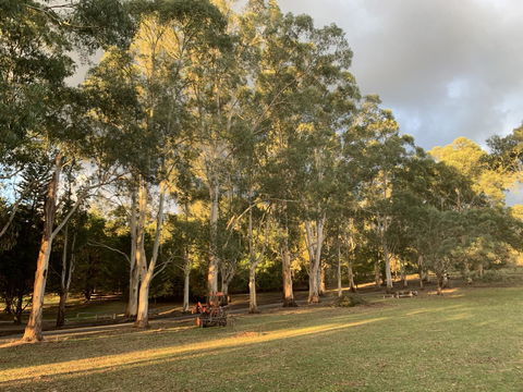 Kangaroo Manor - Hervey Bay Accommodation 15