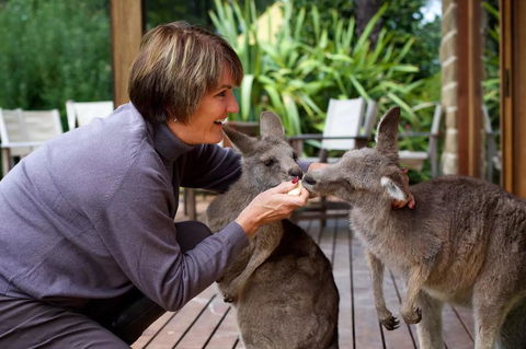 Kangaroo Manor - Hervey Bay Accommodation 20