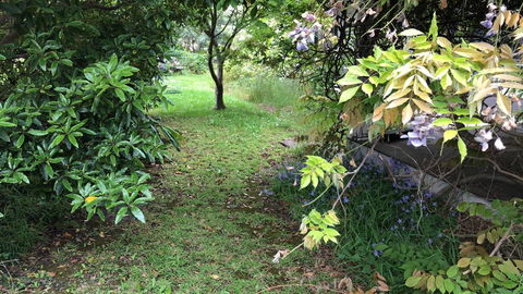 Lorelei Bed & Breakfast - Tourism Hervey Bay 10