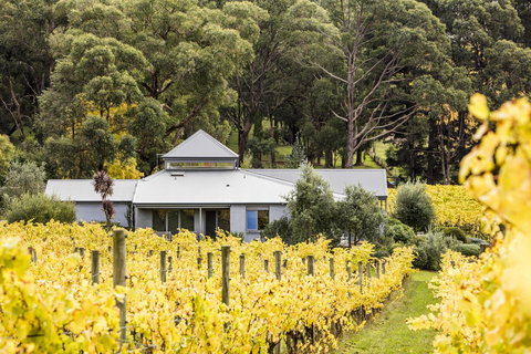 Polperro Villas - Hervey Bay Accommodation 22