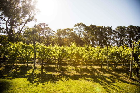 Polperro Villas - Hervey Bay Accommodation 18