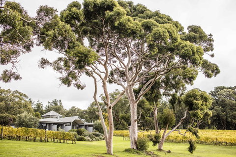 Polperro Villas - Hervey Bay Accommodation 20