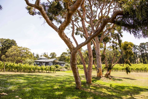 Polperro Villas - Hervey Bay Accommodation 17