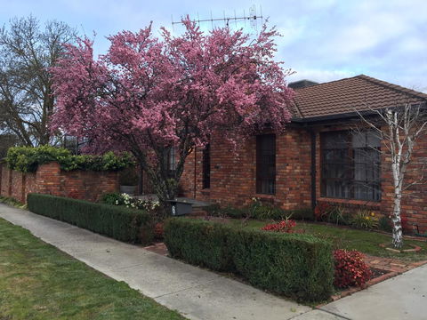 Bricks And Roses - Tourism Hervey Bay 2