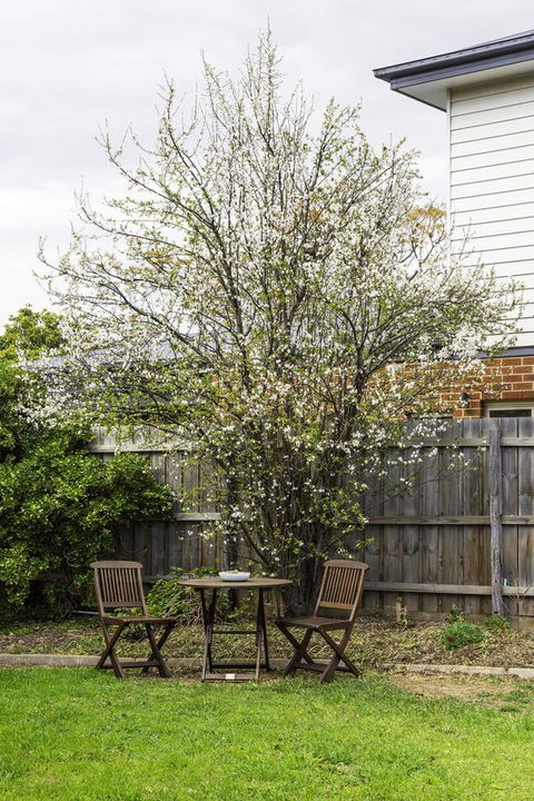 Bacchus Centro - Hervey Bay Accommodation 9