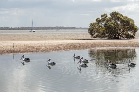 BIG4 Breeze Holiday Parks - Rainbow Beach - Tourism Hervey Bay 32