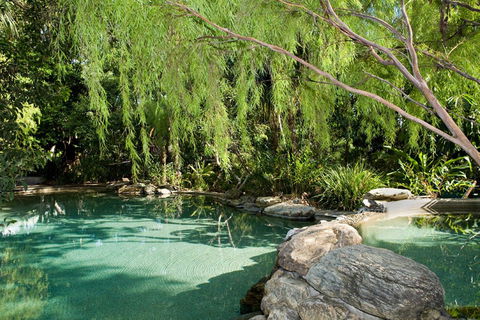 Thala Beach Nature Reserve - Hervey Bay Accommodation 30