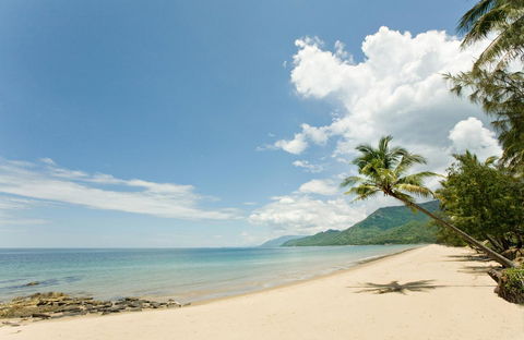 Thala Beach Nature Reserve - Hervey Bay Accommodation 34
