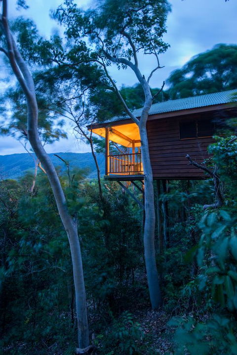 Thala Beach Nature Reserve - Hervey Bay Accommodation 19