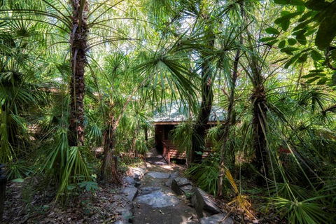 Thala Beach Nature Reserve - Hervey Bay Accommodation 21