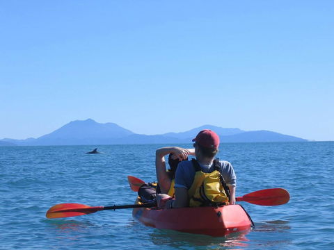 Thala Beach Nature Reserve - Hervey Bay Accommodation 44