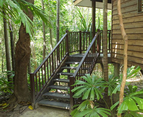 Thala Beach Nature Reserve - Hervey Bay Accommodation 22