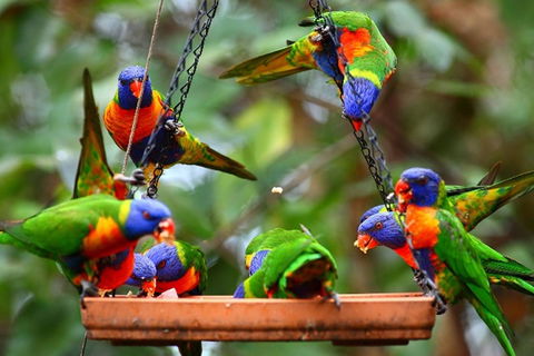 Thala Beach Nature Reserve - Hervey Bay Accommodation 43