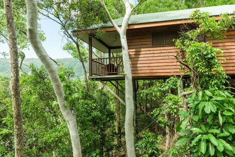 Thala Beach Nature Reserve - Hervey Bay Accommodation 17