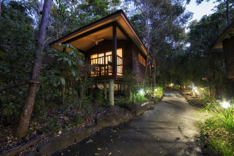 Thala Beach Nature Reserve - Hervey Bay Accommodation 20