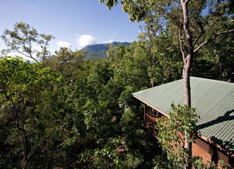 Thala Beach Nature Reserve - Hervey Bay Accommodation 18