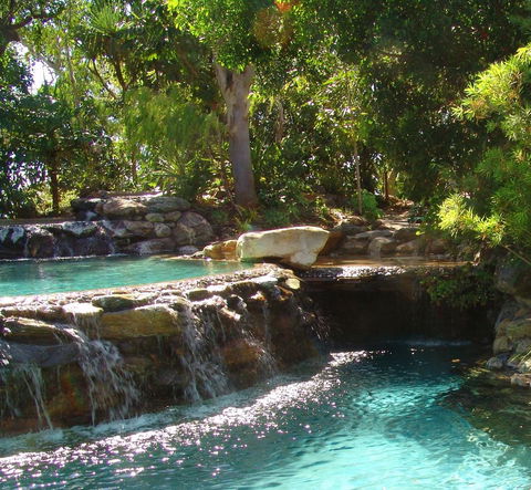 Thala Beach Nature Reserve - Hervey Bay Accommodation 29