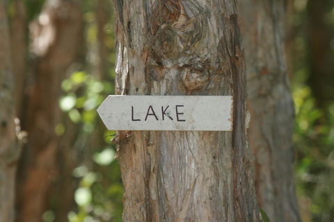 Lake Weyba Noosa Lodge & Kangaroos - Tourism Hervey Bay 36